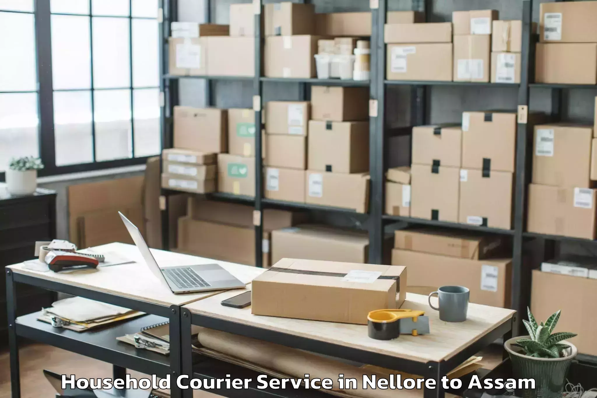 Easy Nellore to Titabar Household Courier Booking